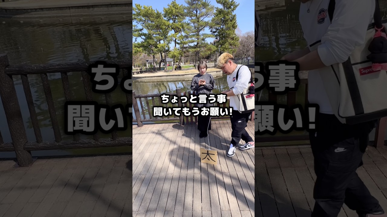 犬じゃなくて「太」散歩させてる奴 #shorts