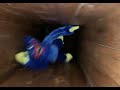 I wanna live (poppy playtime)(plushie version) I wanna live (poppy playtime)(plushie version)