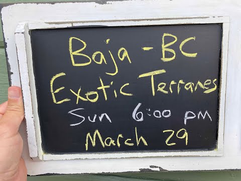 ‘Nick From Home’ Livestream #10 - Baja BC Exotic Terranes