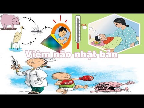 , title : 'Bệnh viêm não nhật bản Chớm hè, cần đề phòng bệnh viêm não Nhật Bản'