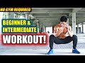 (New!) Fat-Burning Workout Routine for Beginner & Intermediate