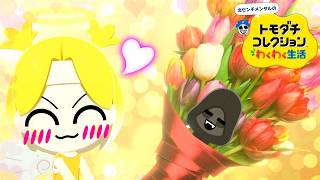 夏がキタ！テンコちゃんに祝福の花火は上がるのか!?「トモダチコレクション わくわく生活」#11