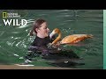 Flamingos Get Hydrotherapy Secrets Of The Zoo