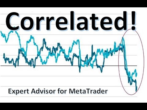 Video Correlated MT5
