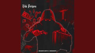 Cover art for VIDA PERIGOSA