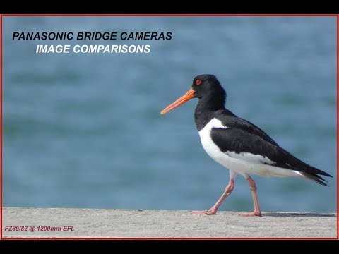 Panasonic Lumix Bridge Camera Image Quality Comparisons
