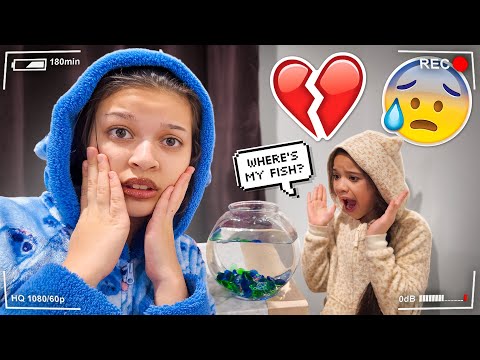 I Lost My Sister's Fish - Prank