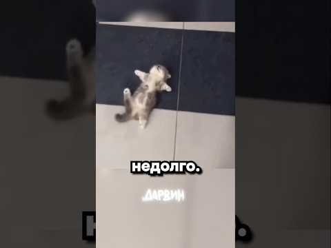 Герои не носят плащи...