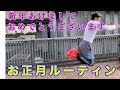 正月はこうやって過ごす!(ルーティン動画)