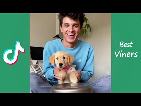 Brent Rivera NEW Tik Tok Videos - Funny Brent Rivera Vines - Best Viners 2021