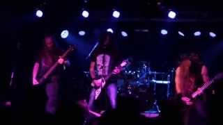 Sanity Assassin (Live at November to Dismember Metal Fest, Bucharest, Romania, 29.11.2014)