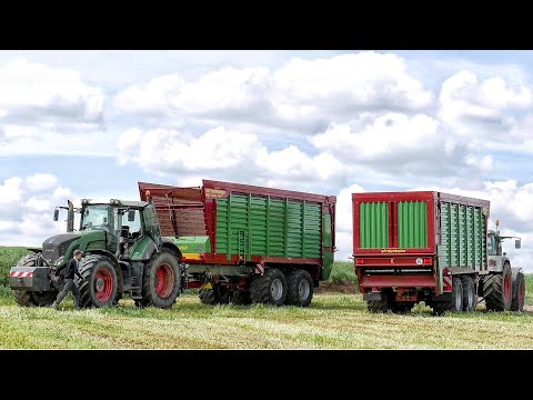 ŻYTO NA KISZONKĘ SIECZKARNIĄ !  GPS 2021!   USŁUGI ROLNICZE BUD-ROL