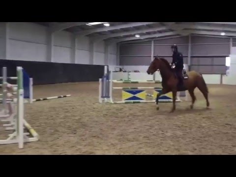 BLM DU Rouets Irish Envoy ,