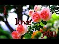 Love Flower