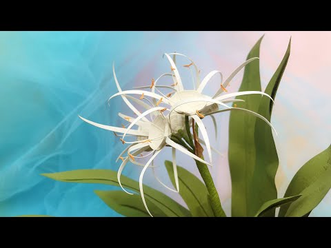 ABC TV | How To Make Spider lily Paper Flower | Paper Quilling - Craft Tutorial