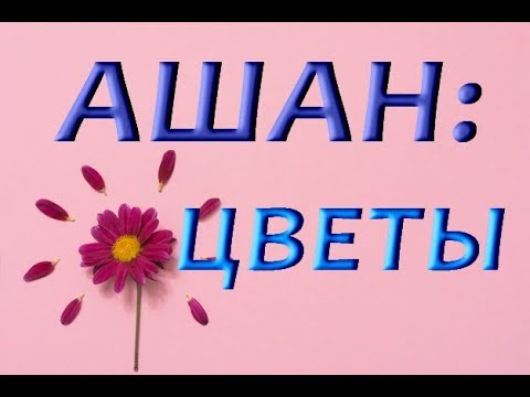 АШАН:ЦВЕТЫ (ТЦ"Мега",Самара,12.05.2019)