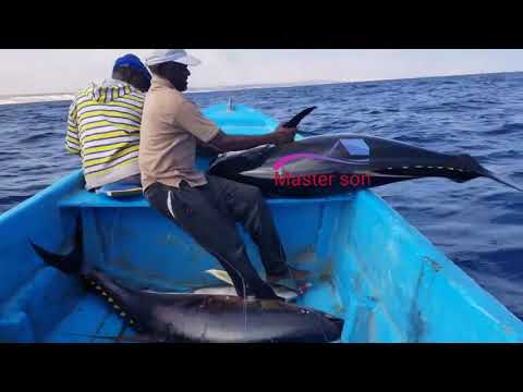 Yellowfin Tuna Fish Catching Skills In Indian Ocean Handline Fish Amazing Fishing Video ( PART 2 )