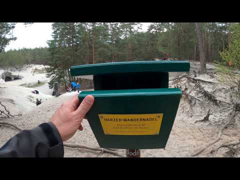 Stempelstelle 81 Sandhöhlen im Heers - Harzer Wandernadel