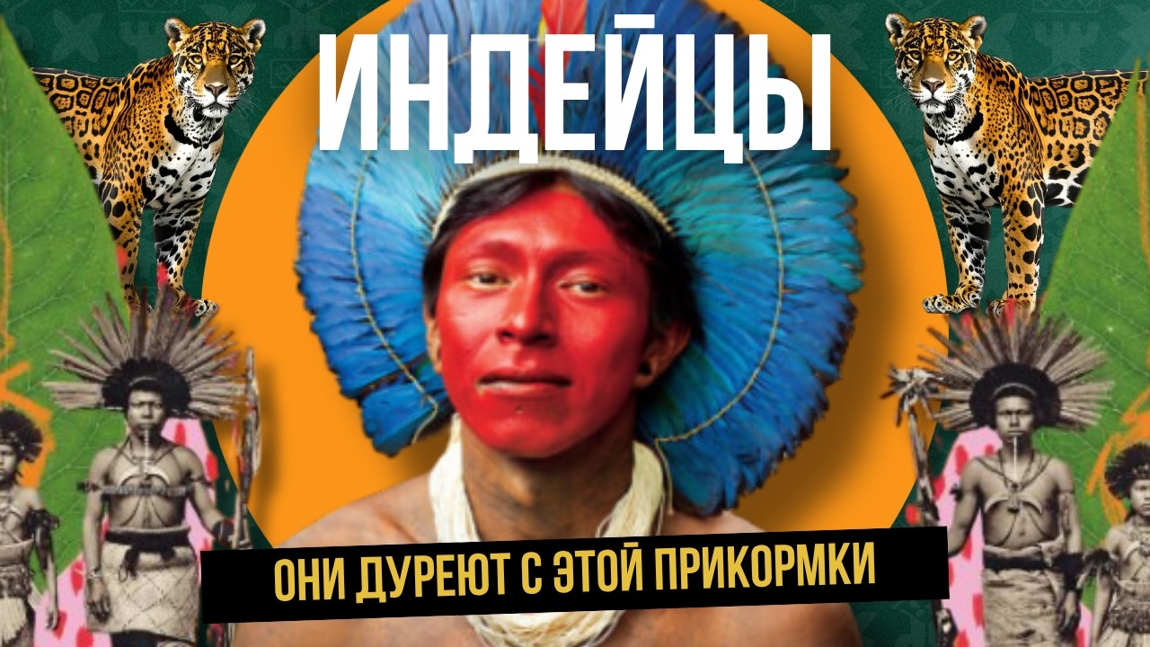 Индейцы научили меня плохому: шаман-алкоголик, волшебный порошок и жаба на д?