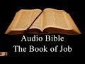 The Book of Job - NIV Audio Holy Bible - High Quality and Best Speed - Book 18