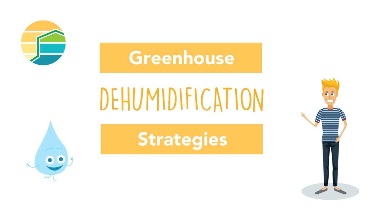 The Control Room | Greenhouse Dehumidification