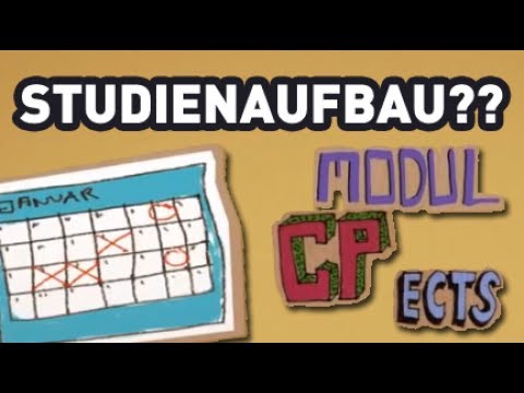 Studienaufbau ⋆ Studieren, so geht's!