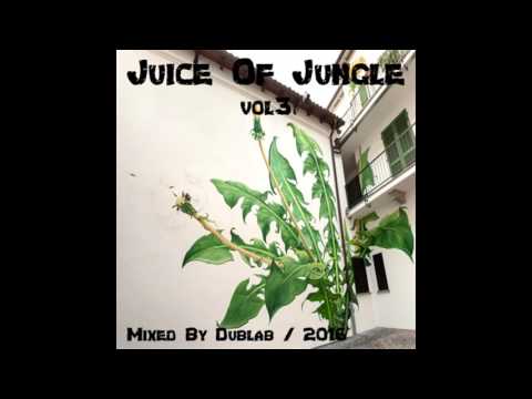 RaggaJungle Dnb Mix 2016 - Juice Of Jungle Vol3 By Azotek
