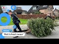 Kinderen zamelen kerstbomen in