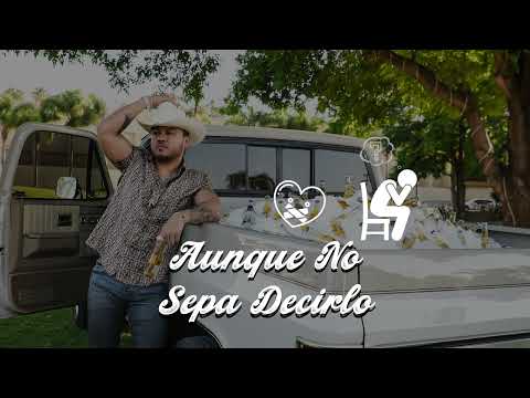 Aunque No Sepa Decirlo - Gerardo Coronel ¨El Jerry¨ x Edwin Luna  (Visualizer)