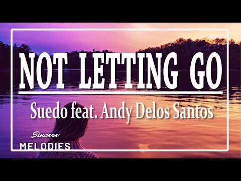 Suedo feat. Andy Delos Santos - Not Letting Go (LYRICS)💙