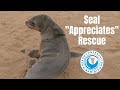 Angry Baby Seal "Appreciates" Rescue
