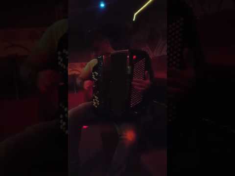 Zoki iz salzburga ucenik Prof. Zorana Dimica