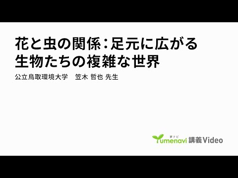 環境学科 花と虫の関係:足元に広がる生物たちの複雑な世界（環境学部 教授　笠木 哲也）【夢ナビ講義】
