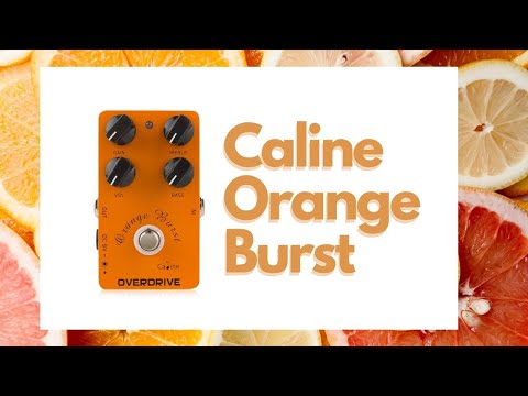 Pedaliction Series | Caline Orange Burst Overdrive | Yalab Pedal Review