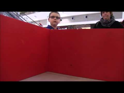 TRD 2017 kategoria DoIt!