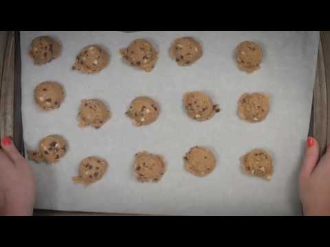 download lagu mp3 mp4 Quinoa Bites Baby, download lagu Quinoa Bites Baby gratis, unduh video klip Quinoa Bites Baby