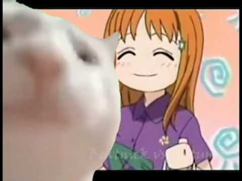 Cat Vibing To Beatnick vs Loituma (Ievan Polkka remix)