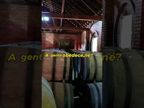 Visitando uma cachaçaria artesanal em Santa Catarina