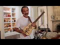 Single Cut Travel Guitar Laika Guitar
