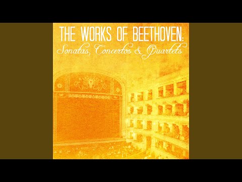 Triple Concerto for Piano, Violin & Cello in C Major, Op. 56: I. Allegro