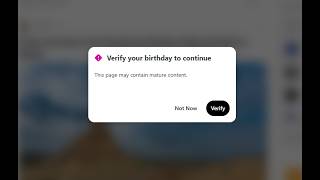 What's behind the Reddit age verification popup