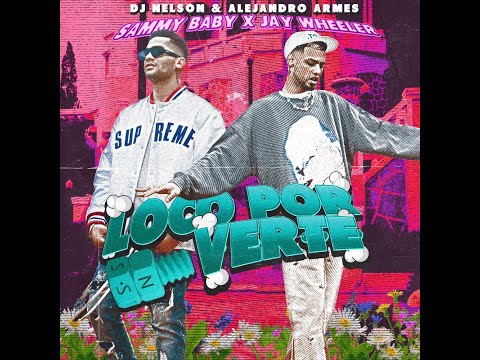 Dj Nelson Jay Wheeler - Loco Por Verte (Arold D Clean Intro Break)