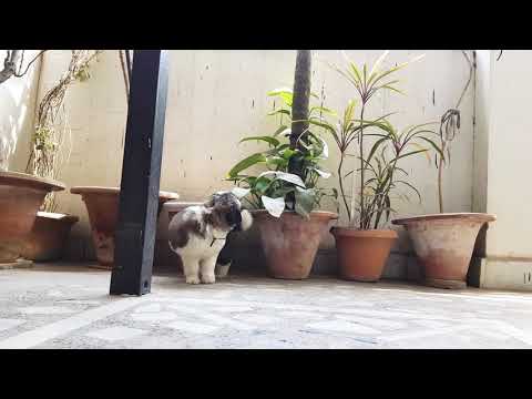 Like Father Like Daughter