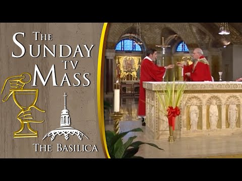 The Sunday Mass – April 2, 2023 — Palm Sunday CC