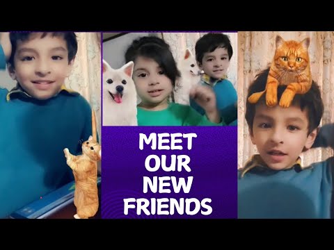 Cuteness in Motion! Pets and Kids at Play || funniest moments || kids play time with cat and dog