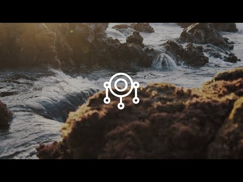 Tibor Dragan - Maitri (Original Mix)