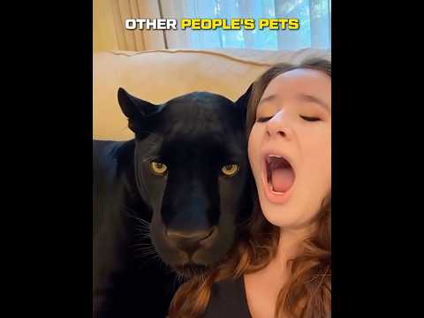 The last pet😭💀 #shorts #trollface #memes #funny #edit