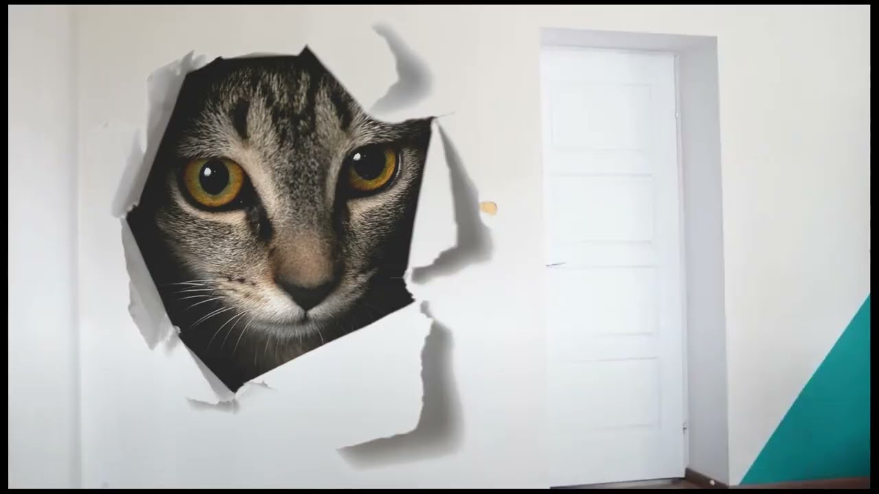 Falnyomtató - Kibújt a cica a zsákból