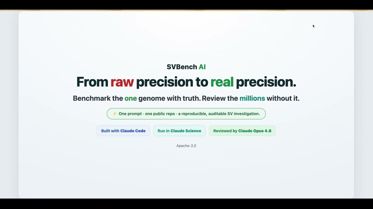 SVBench AI project preview