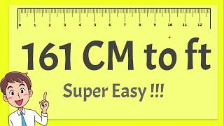 161 cm in feet
